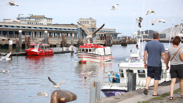 Visite guidée du port de Boulogne-sur-Mer