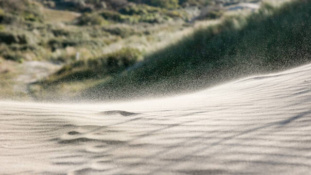 dunes