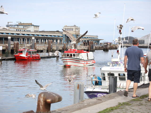 Visite guidée du port de Boulogne-sur-Mer